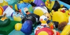 * ACI-Duck-Race.jpg
