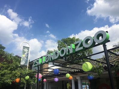 * Atlas_London-Zoo.jpg
