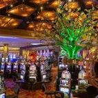 * Black-Oak-Casino-PathoSans.jpg