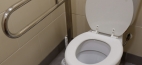 * Closing-toilet-lid.jpg