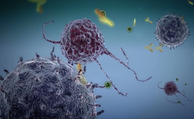 * Diversey_pathogens.jpg
