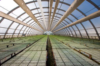 * ETS_Tree Nursery.jpg