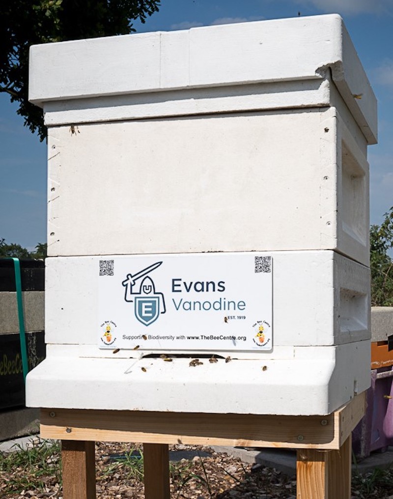 * EV-Beehive.jpg