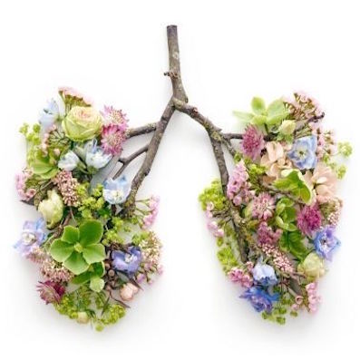 * Flower-lungs.jpg