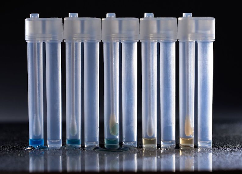 * FreshCheck-Colour-Change-Example.jpeg