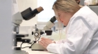 * Genesis-Biosciences-Evogen.jpg