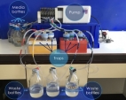 * Genesis-Biosciences-consortium.jpg