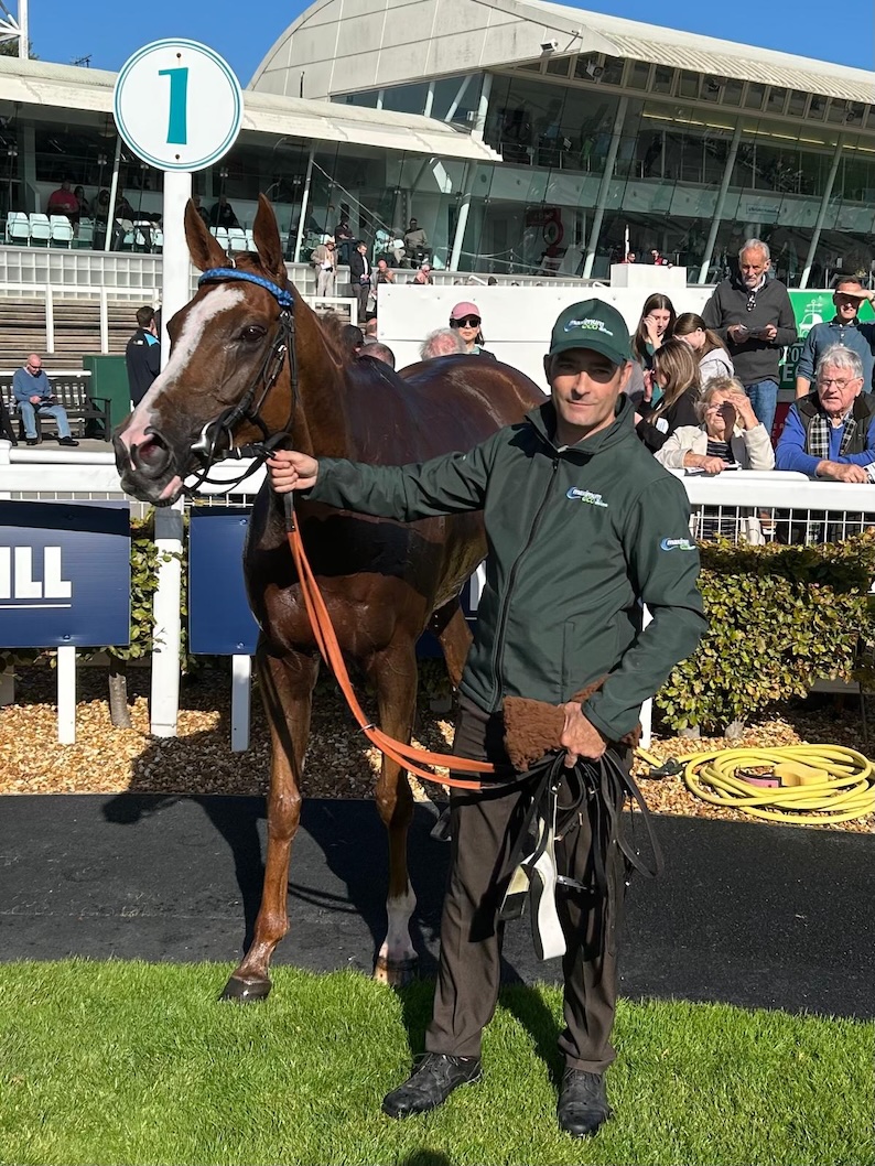 * Greyland-Serious-Chat.jpeg