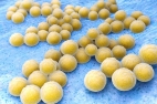 * Hydrachem-hospital-onset-MRSA.jpg