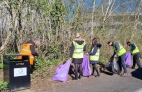 * Local-Litter-Picks.jpg