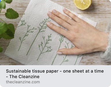 Advert: https://www.thecleanzine.com/pages/21971/sustainable_tissue_paper_one_sheet_at_a_time/