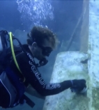 * National-Marine-Aquarium.jpg