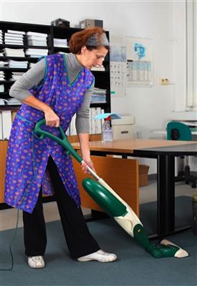 * Panztel-office-cleaner.jpg