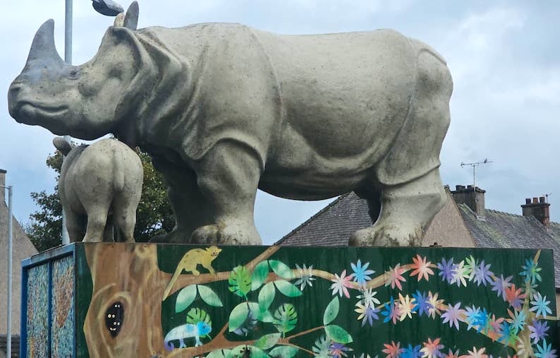 * Rhinos3.jpeg